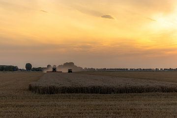 Threshing grain by Marjolein Albregtse