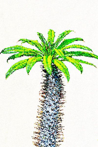 Madagaskarpalme Impression von Werner Lehmann