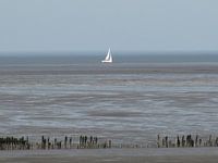 sailing