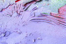 Lilac by Reinder Tasma