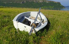 Rowing boat on a meadow
