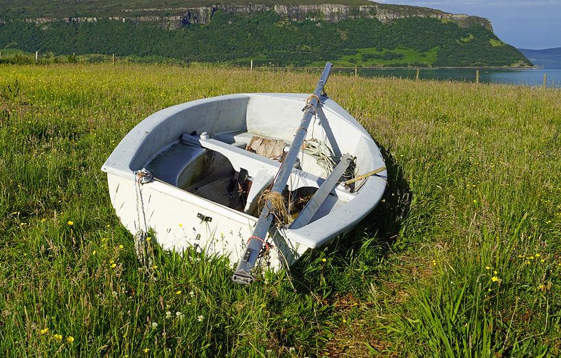 Rowing boat on a meadow by Babetts Bildergalerie