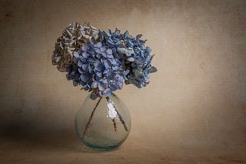 Modernes Stilleben mit Hortensienblüten von John van de Gazelle fotografie