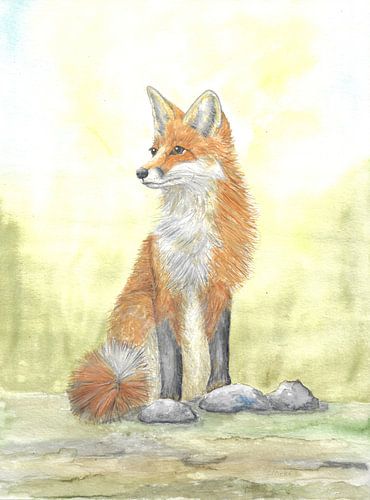 Fox by Sandra Steinke