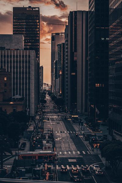 Los Angeles by Hello Pompoyo