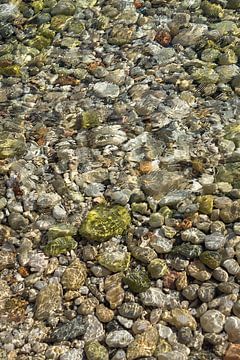 Klares Meerwasser fließt über grüne Steine 1