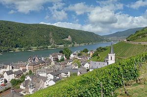 Weinort Assmannshausen am Rhein,Deutschland