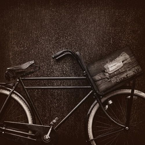 The vintage cargo bike by Martin Bergsma