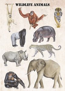 Wildlife Animals van Jasper de Ruiter