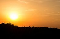 Zonsondergang in de Duinen van Bergkamp Photography thumbnail