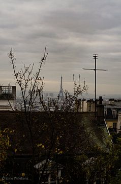 Zicht op de Eiffeltoren vanaf de Sacré-Cœur in Parijs van Eline Willekens