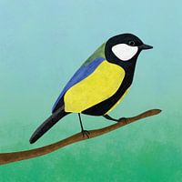 Great tit