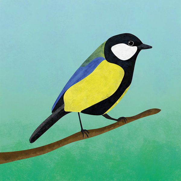 Great tit by A.C. van Zwol