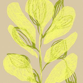Color Bloom No 17 von Treechild
