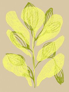 Color Bloom No 17