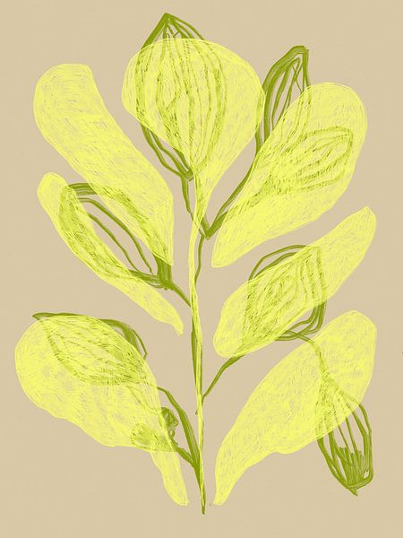 Colour Bloom No 17 by Treechild