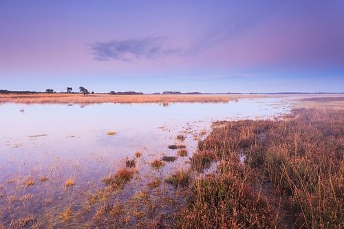 Hijkerveld, sprookje in roze