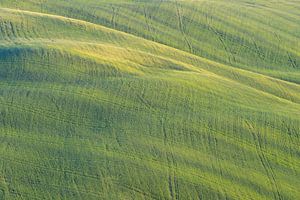 Hilly landscape