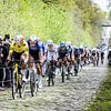 Wout van Aert auf den Kopfsteinpflasterstraßen der Trouée d’Arenberg von Leon van Bon