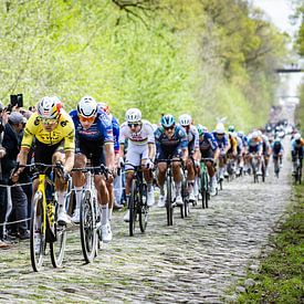 Wout van Aert auf den Kopfsteinpflasterstraßen der Trouée d’Arenberg von Leon van Bon
