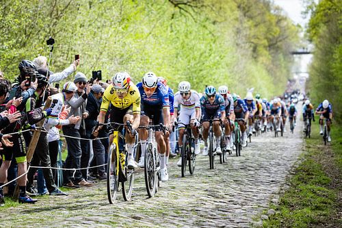 Wout van Aert auf den Kopfsteinpflasterstraßen der Trouée d’Arenberg von Leon van Bon