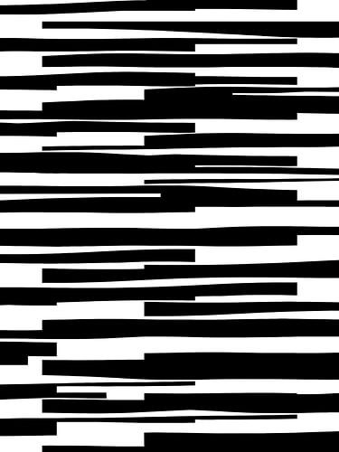 Organisch 11 | Zwart & Wit Minimalistisch Abstract