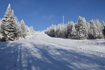 Het recreatieterrein in de winter van Claude Laprise