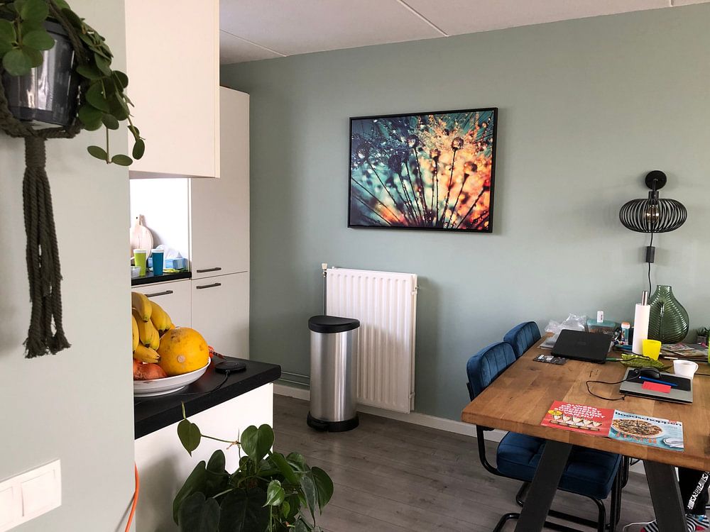 Pusteblume Tautropfen   von Julia Delgado 