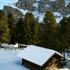 Wooden Shed van Sven Benjamins