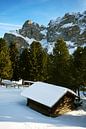 Wooden Shed by Sven Benjamins thumbnail