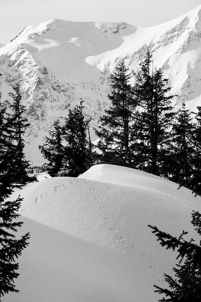 Schönes Stillleben von Abdrücken im Schnee. von Aukelien Philips