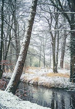 Verschneite Landschaft in Twickel