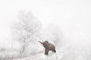 Un bébé mammouth dans la neige sur Elianne van Turennout