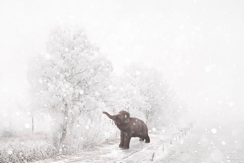 Baby mammoet in de sneeuw van Elianne van Turennout