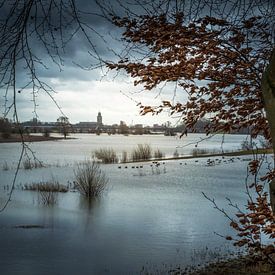 Timeless Reflections: Deventer between Grey Skies and Golden Leaves by Bart Ros