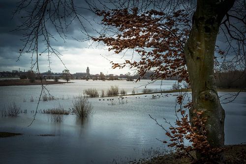 Tijdloze Reflecties: Deventer tussen Grijze Luchten en Gouden Bladeren
