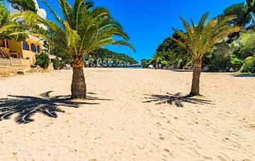 Plage de sable de Cala Santanyi avec des palmiers, île de Majorque sur Alex Winter