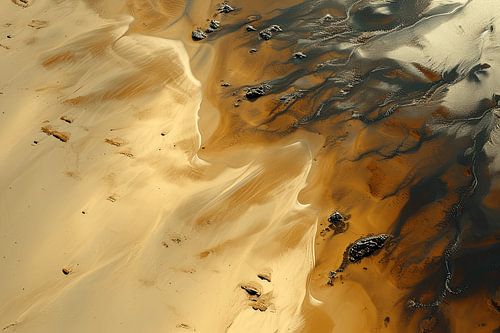 Fluisteringen uit de vergeten woestijn