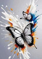 Schmetterling Splash