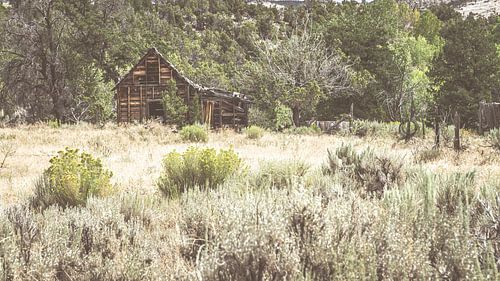 House On The Prairie #USA, voyage sur la côte ouest