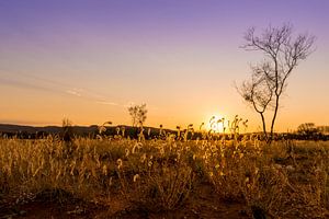 Zonsopgang in Kings Canyon - Australië van Troy Wegman