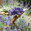 Lavendel im Sommer von Blond Beeld