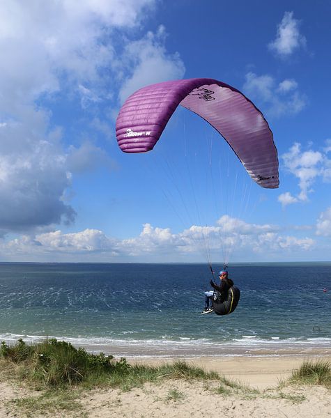 Fly by van Patrick Riemens