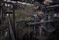 Spring of decay