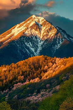Berglandschap in het avondlicht van Poster Art Shop
