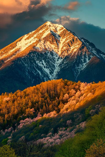Mountain landscape in the evening light by Poster Art Shop