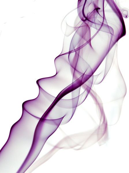 Rook par Jehee Fotografie