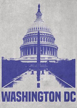 Washington D.C. Capitol by DEN Vector