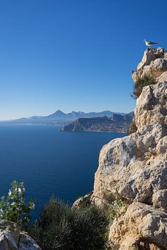 Klippen, blauer Himmel und das Mittelmeer von Montepuro