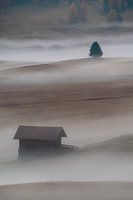 Foggy morning